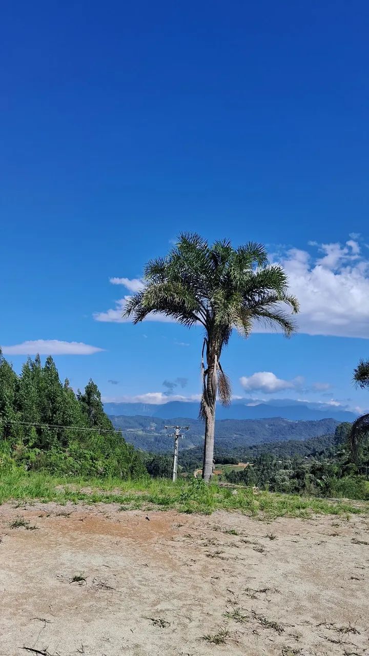 Sítio 3 hectares bem localizado em Anitápolis-SC  - Foto 3