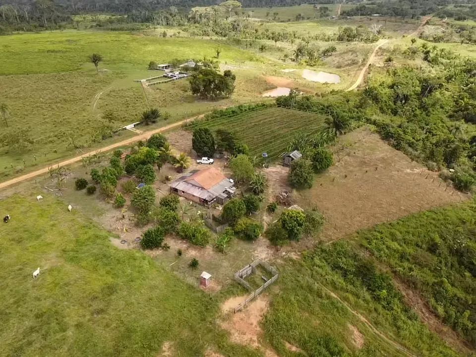 Vende-se uma colônia  - Foto 2