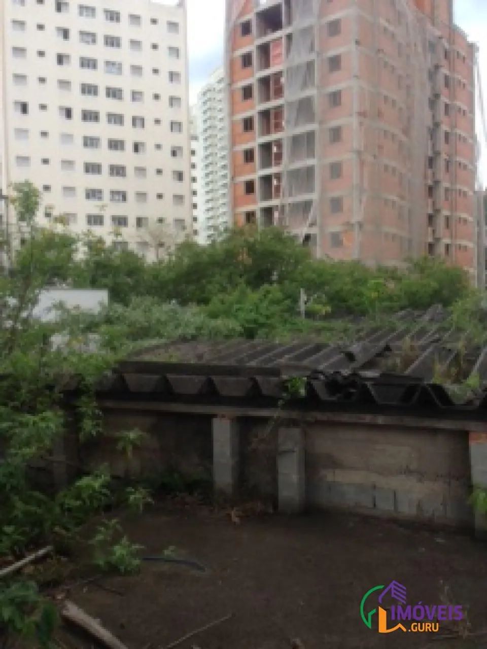 GALPÃO - VILA MASCOTE - SP - Foto 3