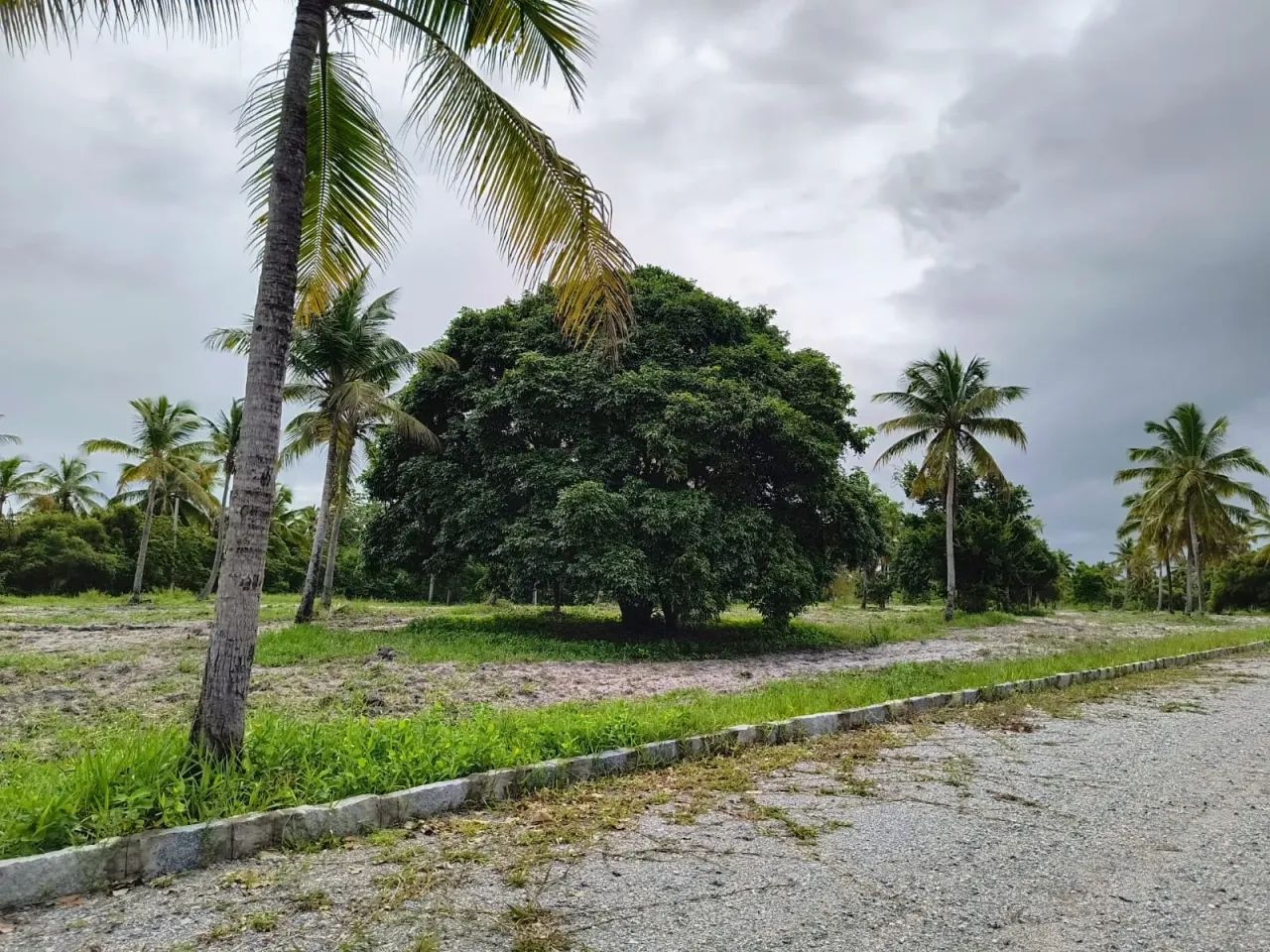 Porto de Galinhas - Terreno - Oportunidade!! - Foto 4