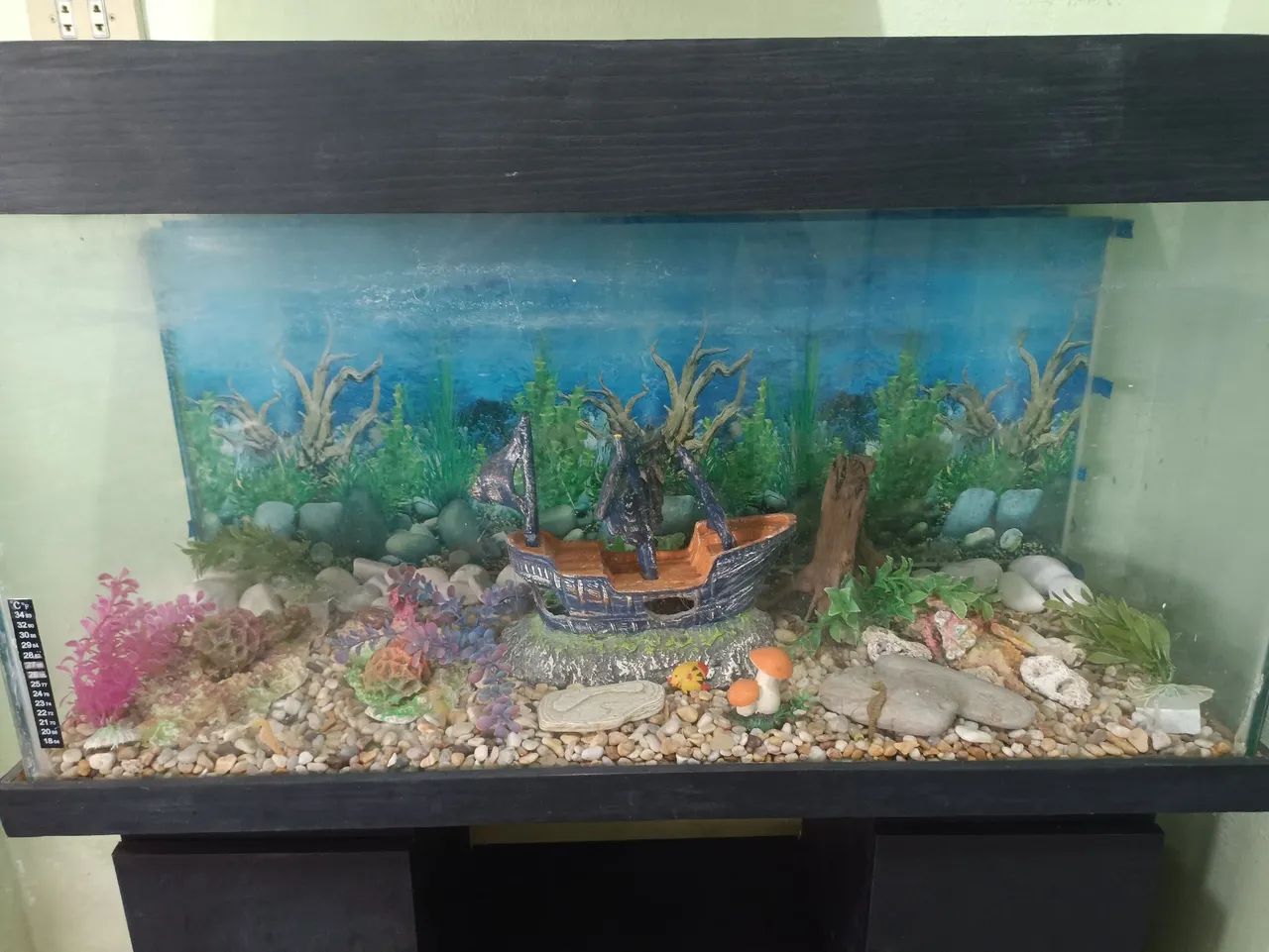 Aquário com estante  - Foto 2