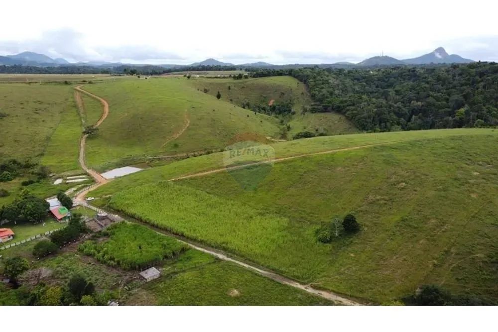 FAZENDA PRIMAVERA A VENDA ITAMARAJU BA - Foto 12