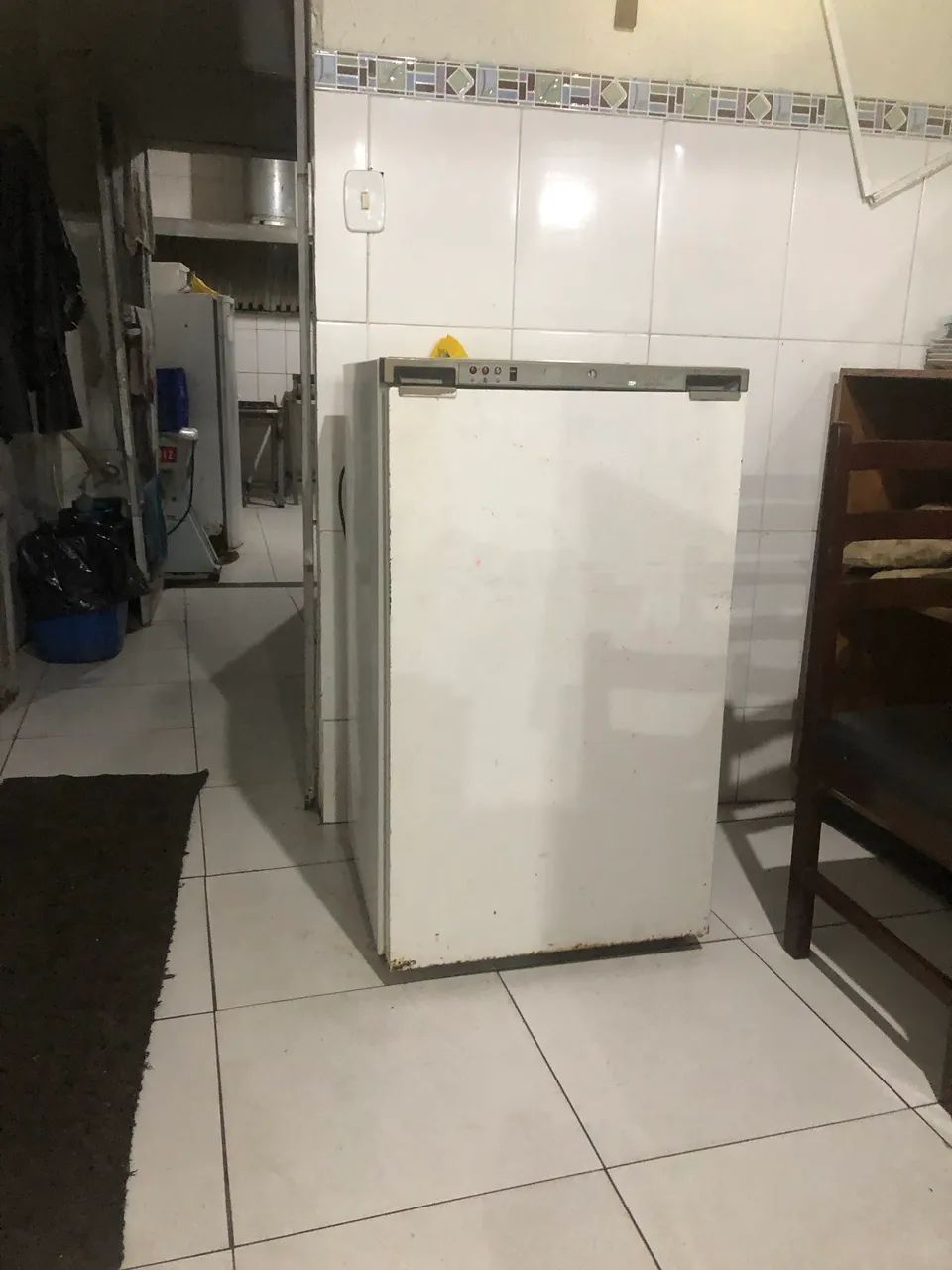 Free freezer vertical