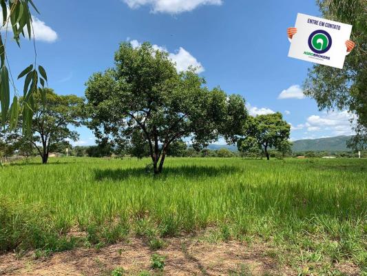 Fazenda 362,27ha acorizal - Foto 5