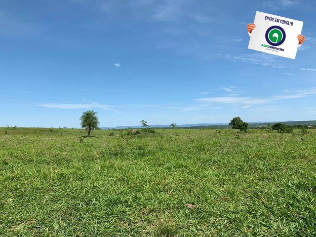 Fazenda 970 ha na beira do asfalto estrada de cáceres - Foto 12