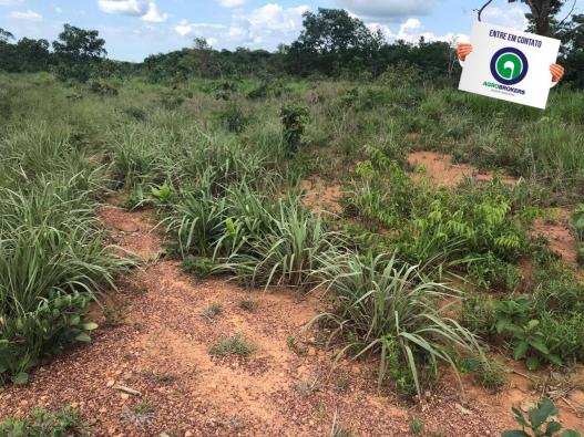 Fazenda 1400 ha na região de cáceres - Foto 5