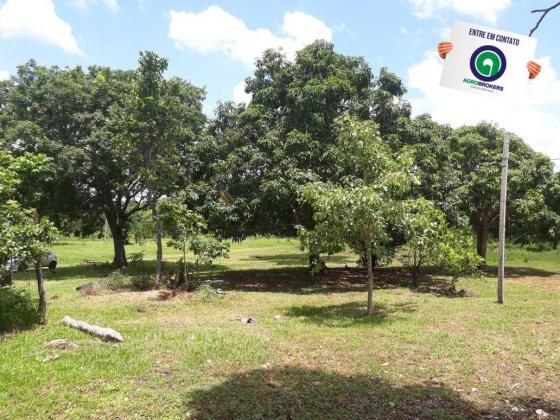 Sitio 22 ha livramento