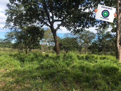 Sitio região do sucuri - Foto 4
