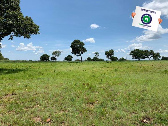 Fazenda 362,27ha acorizal - Foto 3
