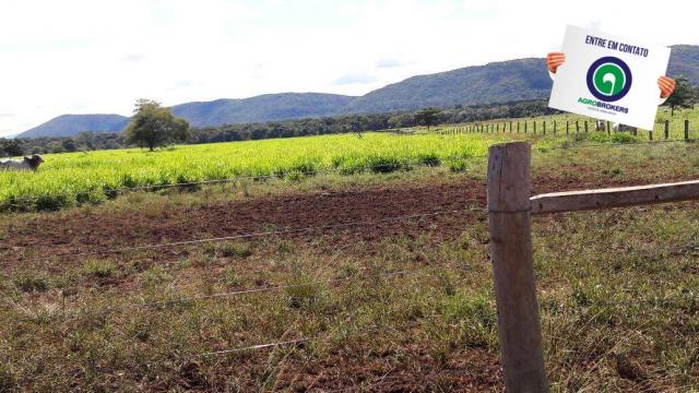 Fazenda 1.650 ha sentido caceres - Foto 3