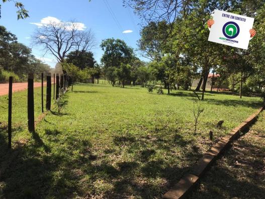 Sítio 28,7 ha no cinturão verde - Foto 11