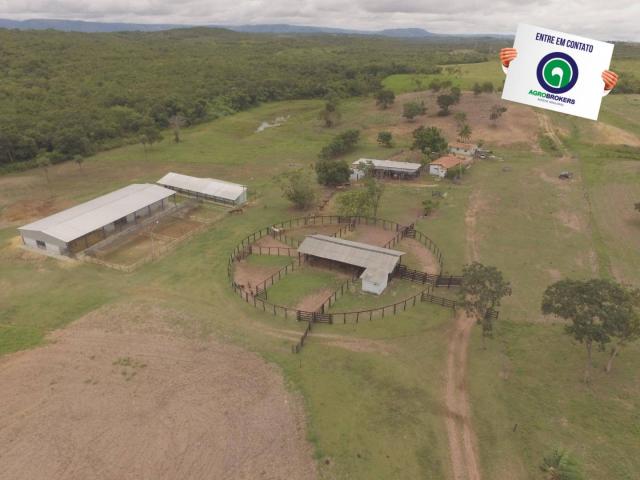 Fazenda 400 ha região de acorizal