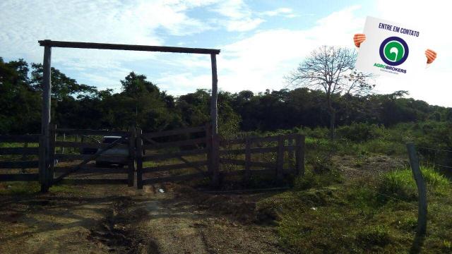 Fazenda na região livramento - Foto 11