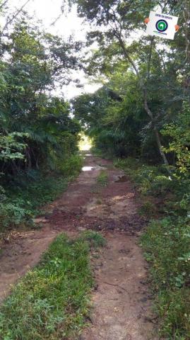 Fazenda na região livramento - Foto 8