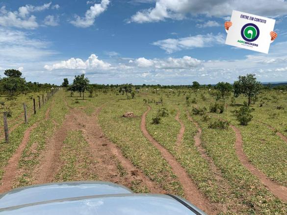 Fazenda 100 ha região de bom jardim - Foto 5