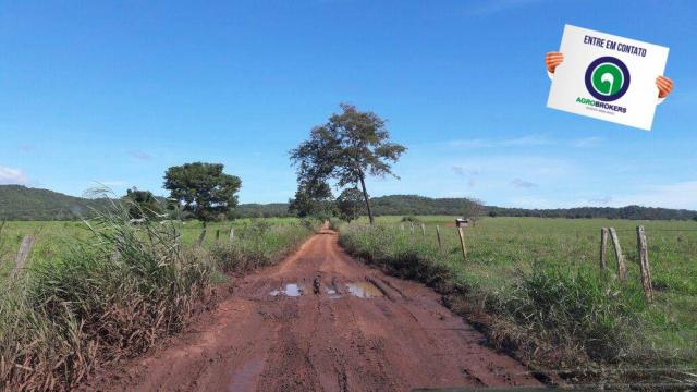Fazenda 1.650 ha sentido caceres - Foto 10