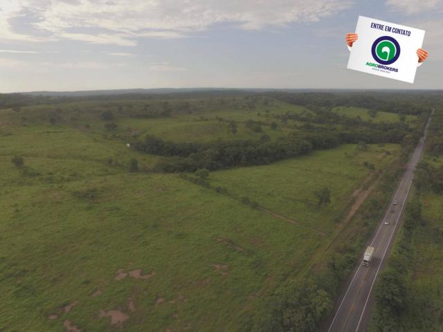 Fazenda 970 ha na beira do asfalto estrada de cáceres - Foto 3
