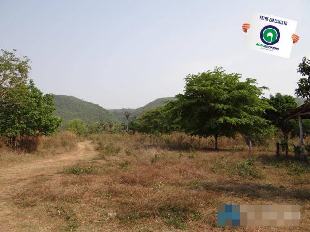Fazenda 1.970ha - Foto 15
