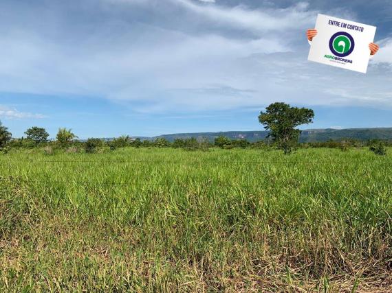 Fazenda 1000 ha região do olho d´água - Foto 15