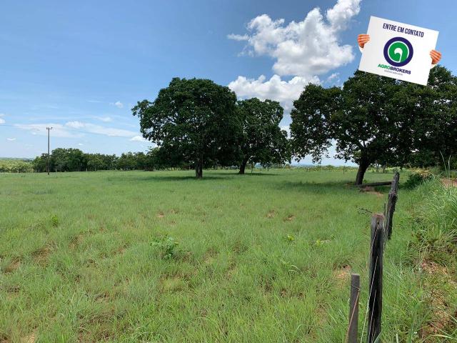 Fazenda 362,27ha acorizal - Foto 8