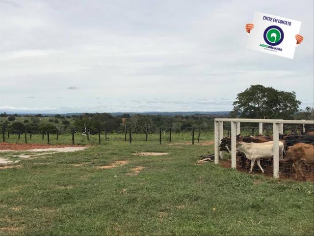 Fazenda em chapada dos guimarães - Foto 10