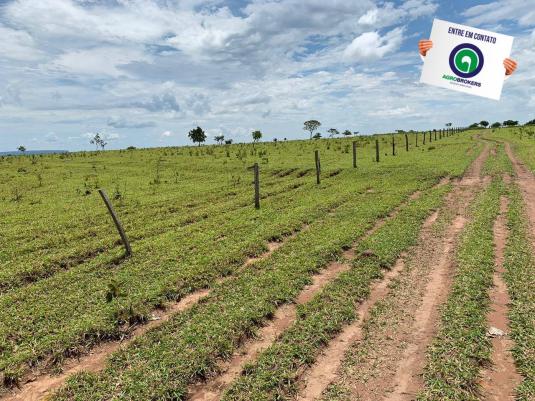 Fazenda 100 ha região de bom jardim - Foto 7