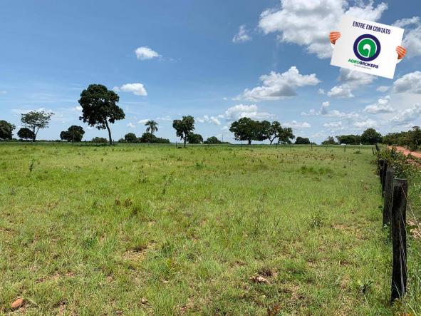 Fazenda 362,27ha acorizal - Foto 6