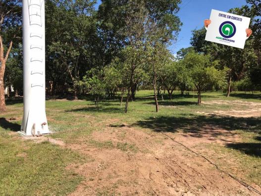 Sítio 28,7 ha no cinturão verde - Foto 5