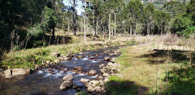 Sítio em Urubici/área rural em Urubici/chácara em Urubici - Foto 4