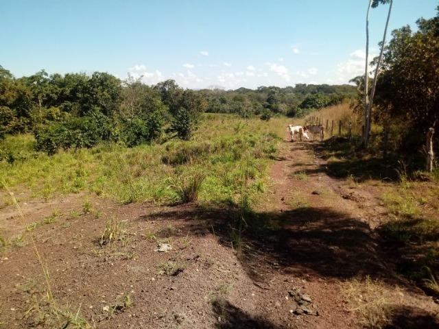 Chácara na beira do Rio Cuiabá a 6 km de Acorizal - Foto 2