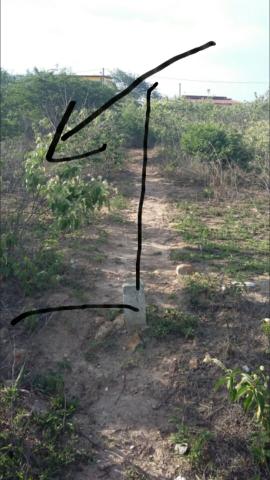 Um terreno no Loteamento Fazenda Riacho do Mel - Foto 7