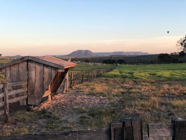 Nova Taquari MT Fazenda a 60 km da cidade com 2.480 hectares em pasto - Foto 17