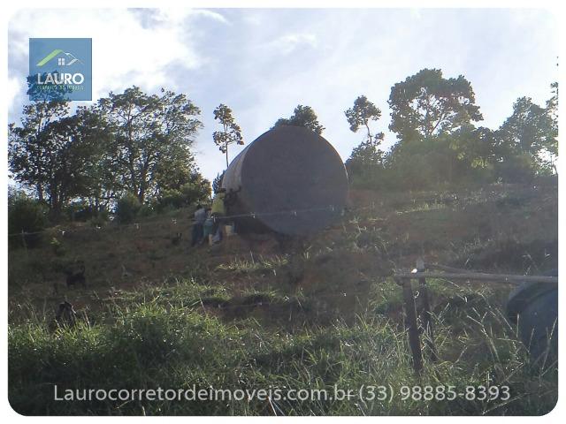 Sítio com 9 Alqueires a 30 km de T. Otoni - Foto 5