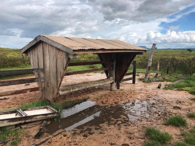 Nova Taquari MT Fazenda a 60 km da cidade com 2.480 hectares em pasto - Foto 9