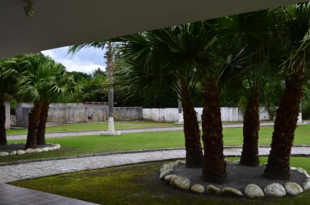 Chácara à venda em Planta granjas eldorado, Piraquara cod: * - Foto 4