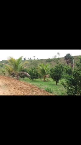 Vende-se uma chácara - Foto 14