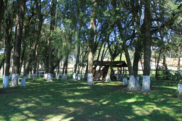 Chácara Araucária, 284.000m², tanques, nascente - Foto 7