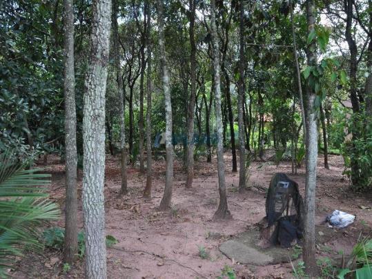 Chácara à venda em Vila pinhal broa, Itirapina cod:4319 - Foto 18
