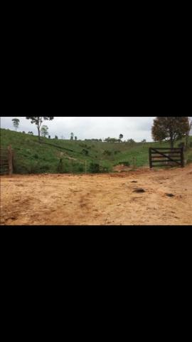 Vende-se uma chácara - Foto 3