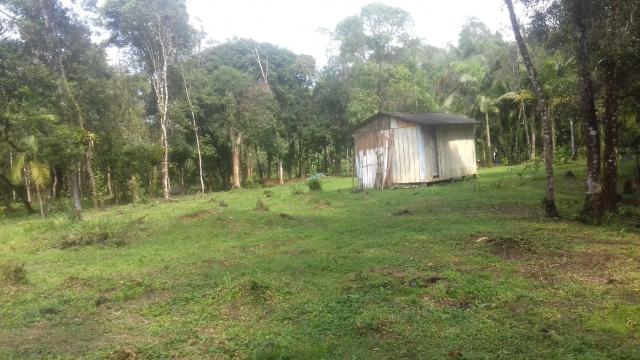 Chacrinha em Guaraqueçaba - Foto 2
