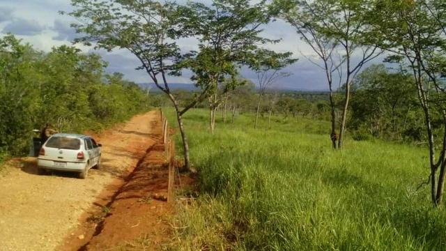 Fazenda Ribeirão - Foto 3