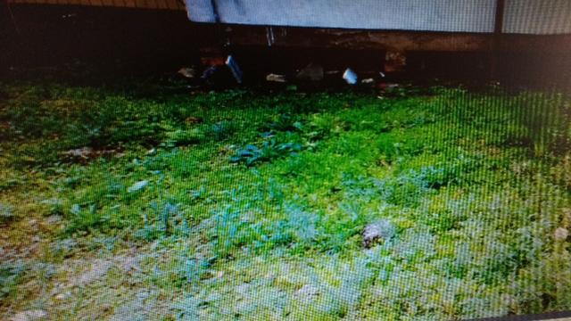 Vendo casa no bairro Rio Branco - Foto 10