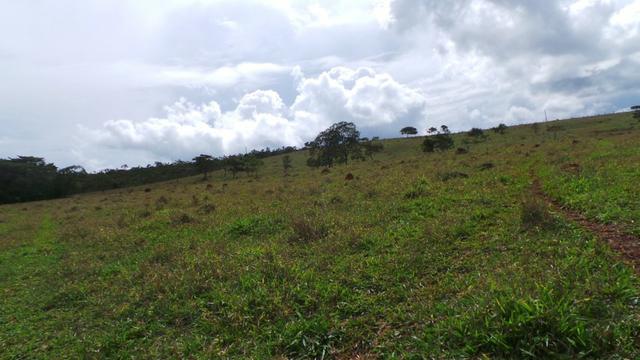 Sítio 22 hectares em Planalmira - Foto 16