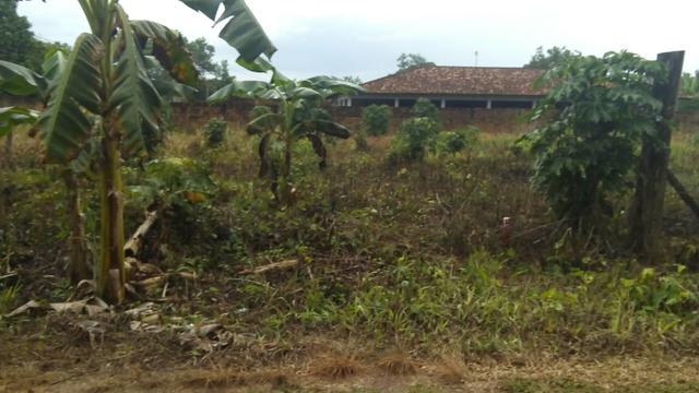 Terreno - Foto 7