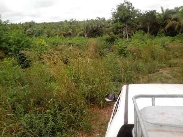Fazenda há 50 km de Várzea Grande sentido Poconé - Foto 16