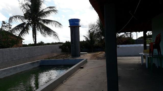 Chacara - Foto 16