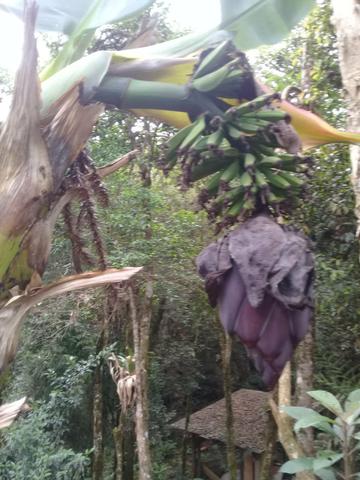 Chácara Represa Vossoroca - Foto 3
