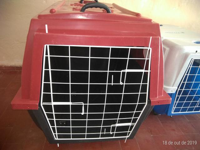 Caixa de Transporte Aéreo N5 ( Cães de Grande Porte ) - Foto 2