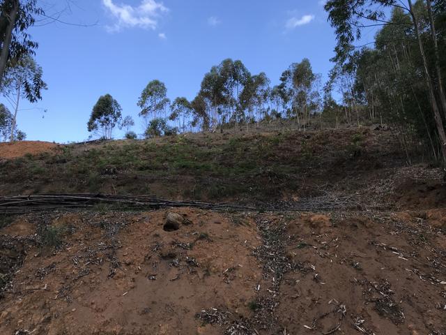 Vendo Fazenda - Foto 2