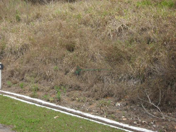 Terreno à venda, 2241 m² por R$ 80.000,00 - Vieira - Teresópolis/RJ - Foto 7